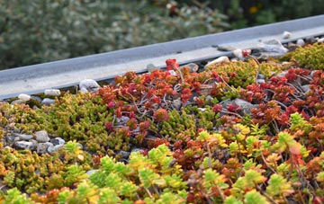 the cost of Middle Madeley green roof installation